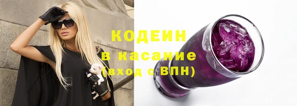 дживик Бородино