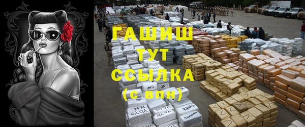 дживик Бородино