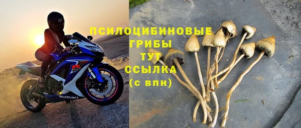 дживик Бородино
