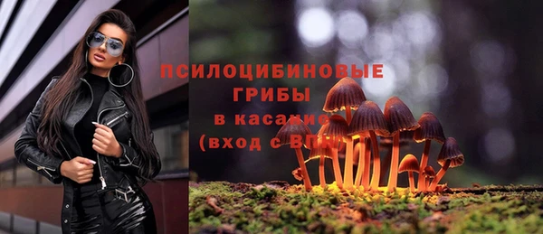 дживик Бородино